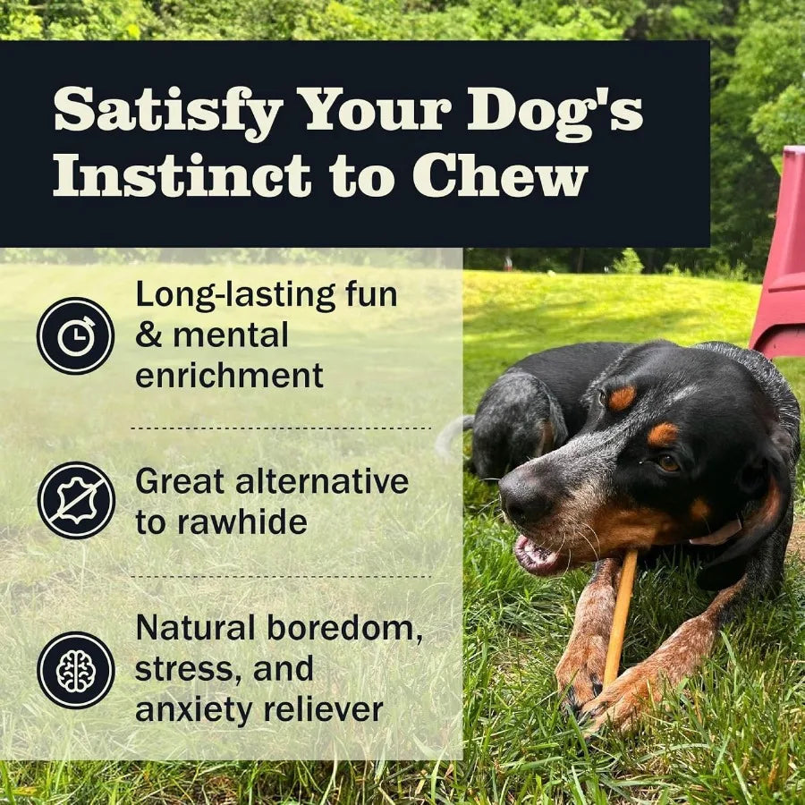 All Natural 58 Bully Sticks For Dogs Variety Pack Odor