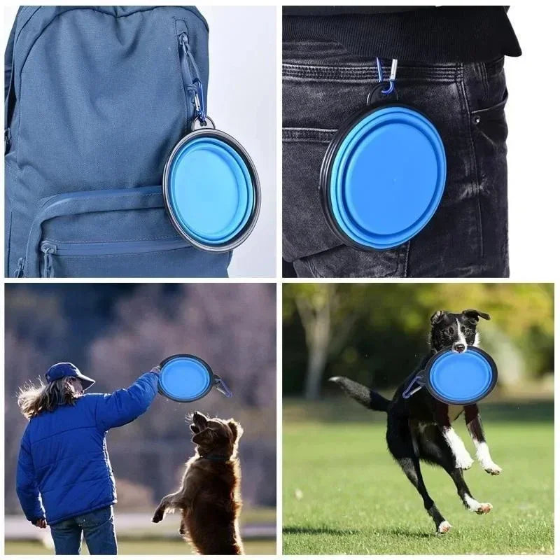 YTYIN Foldable 350mL Pet Bowl Portable Travel Dogs Cats