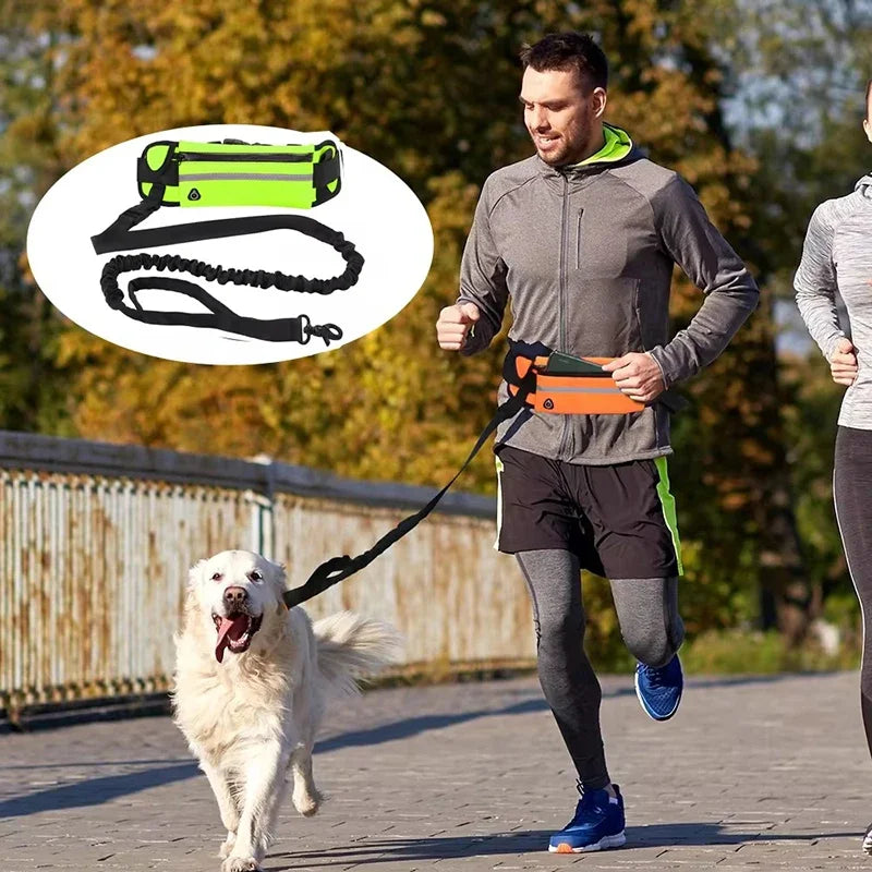 Hands Free Reflective Dog Leash With Retractable Belt Bag