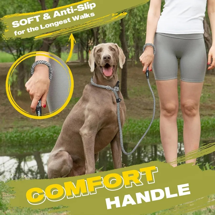 Slip Lead 6Ft Heavy Duty Leash No Pull Reflective Small Dog