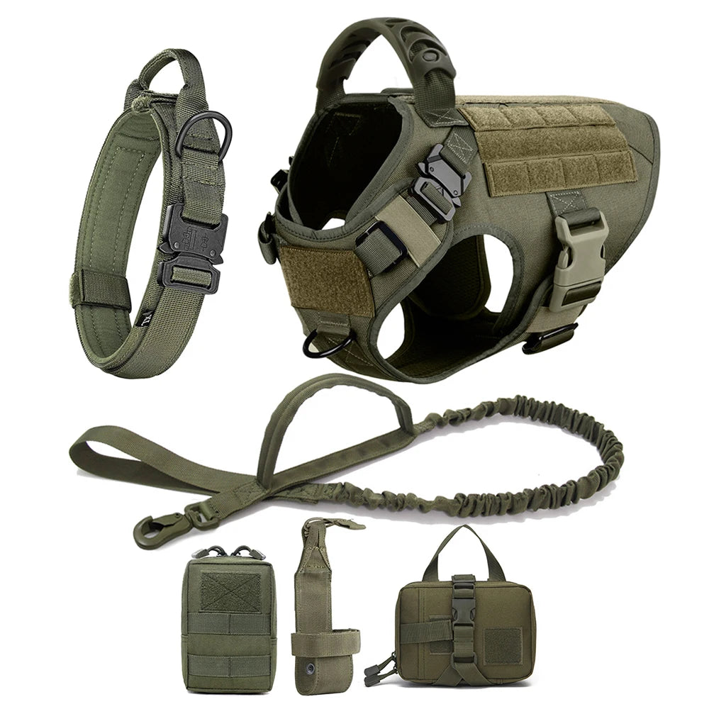 Petravelcn Large Dog Harness and Leash Set for Training