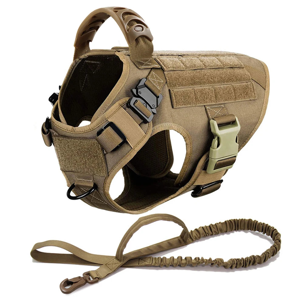 Petravelcn Large Dog Harness and Leash Set for Training