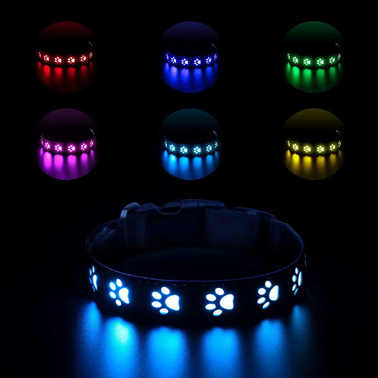 Rechargeable LED Dog Collar Rainproof Nylon 3 Color 6 Modes