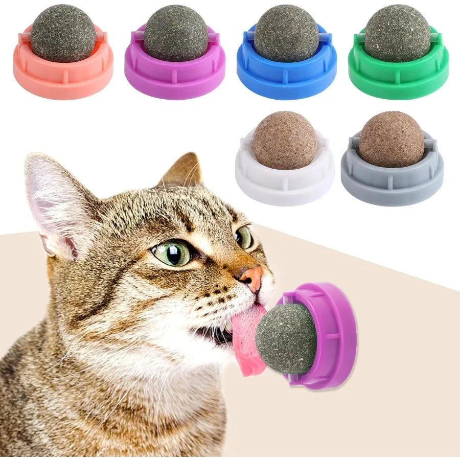 Hign Concerned Catnip Toys for Cats Six Pack Kitten Chew