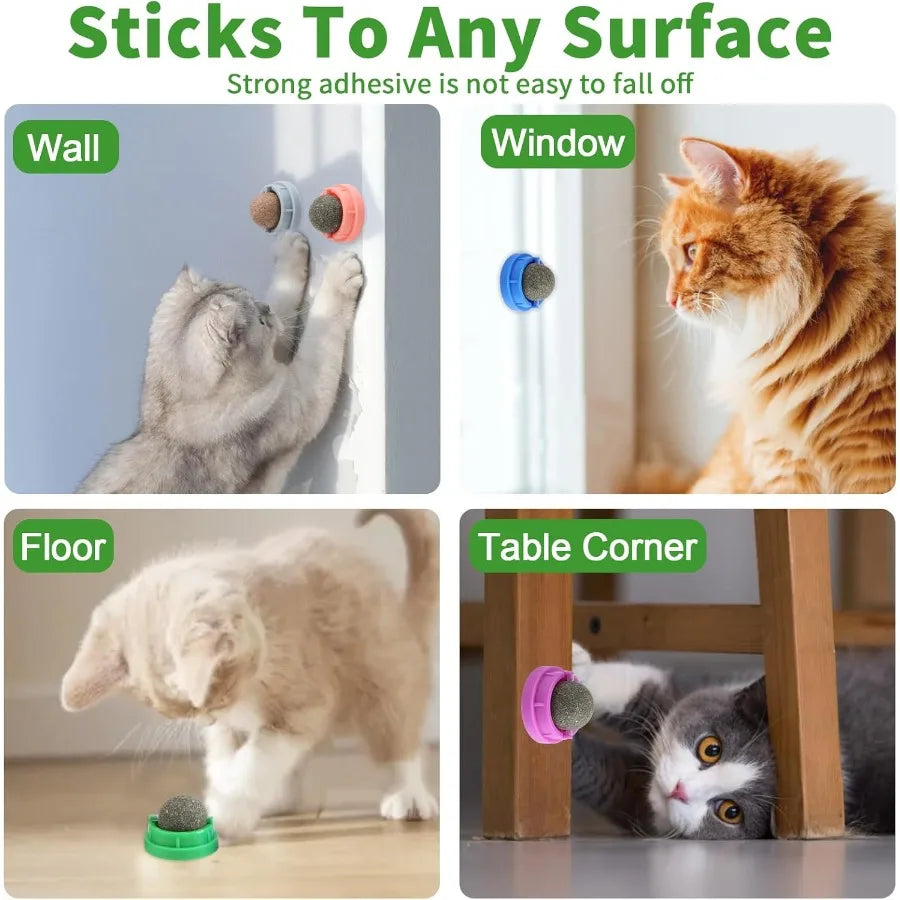 Hign Concerned Catnip Toys for Cats Six Pack Kitten Chew