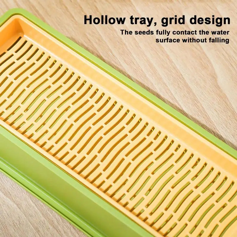 Layered Cat Grass Planter Kit Soilless Convenience For Cats