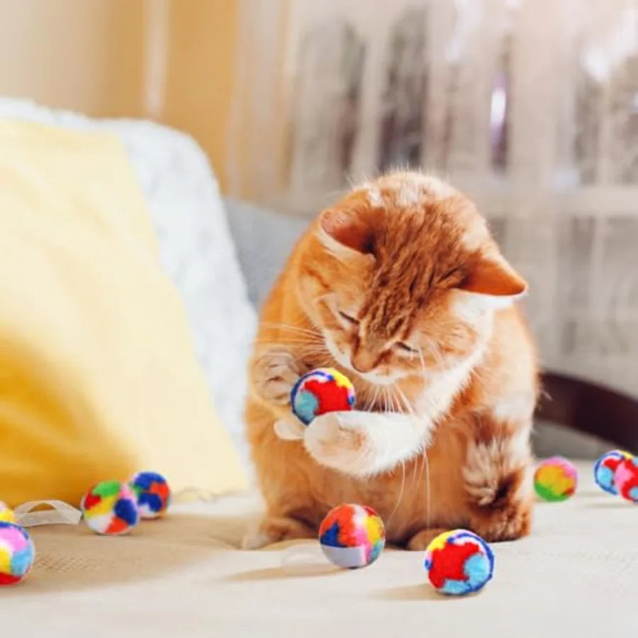 Rainbow Cat Pom Pom Balls 60 Pack Soft Plush Kitten Toy