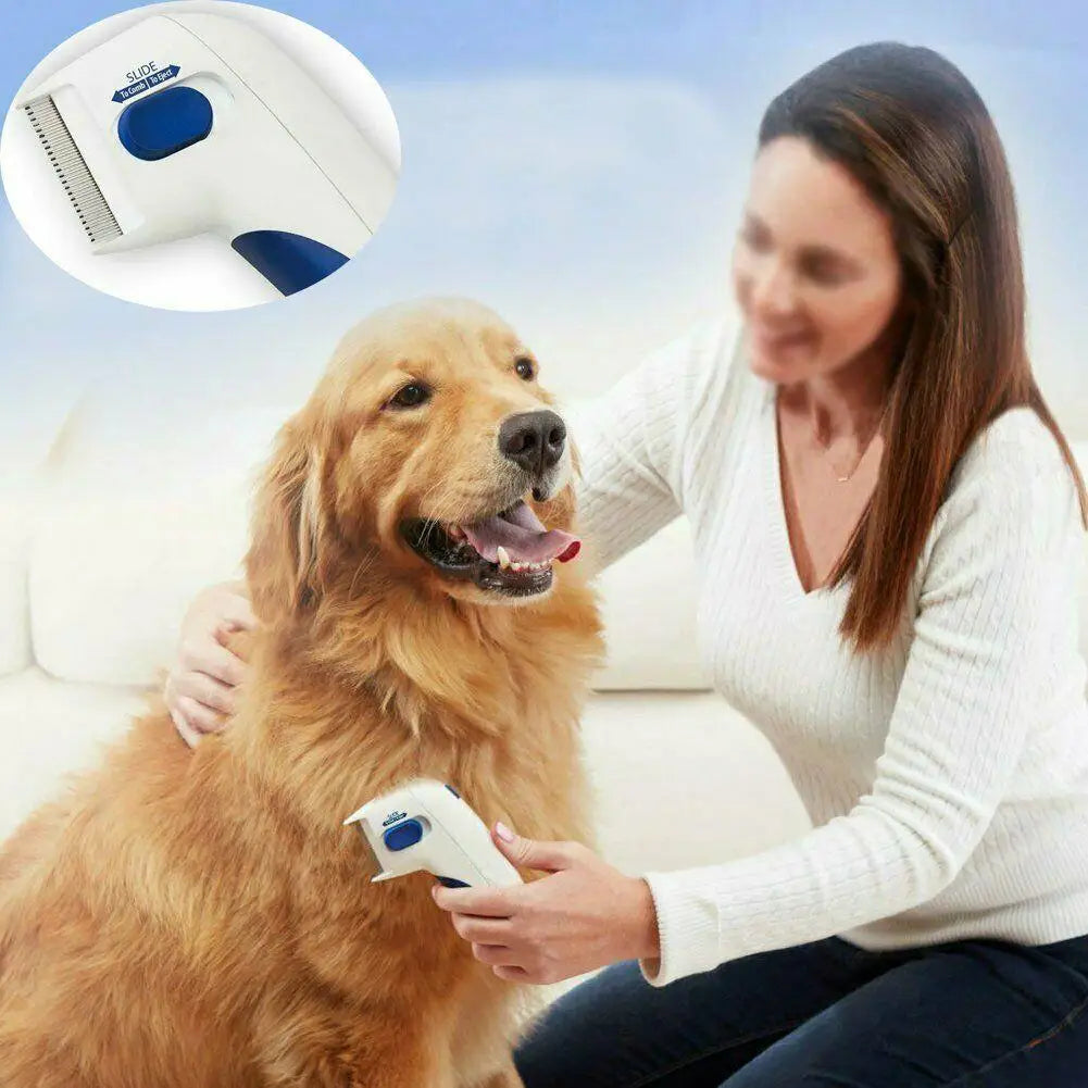 Alloet Electric Pet Flea Comb For Dogs And Cats Kills Lice