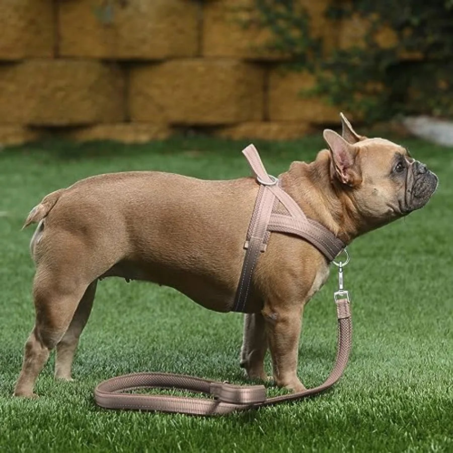 No Pull Dog Harness with Breathable Mesh Padded Adjustable Reflective Escape Proof Dog Harness for Small Medium Large Dogs Idea