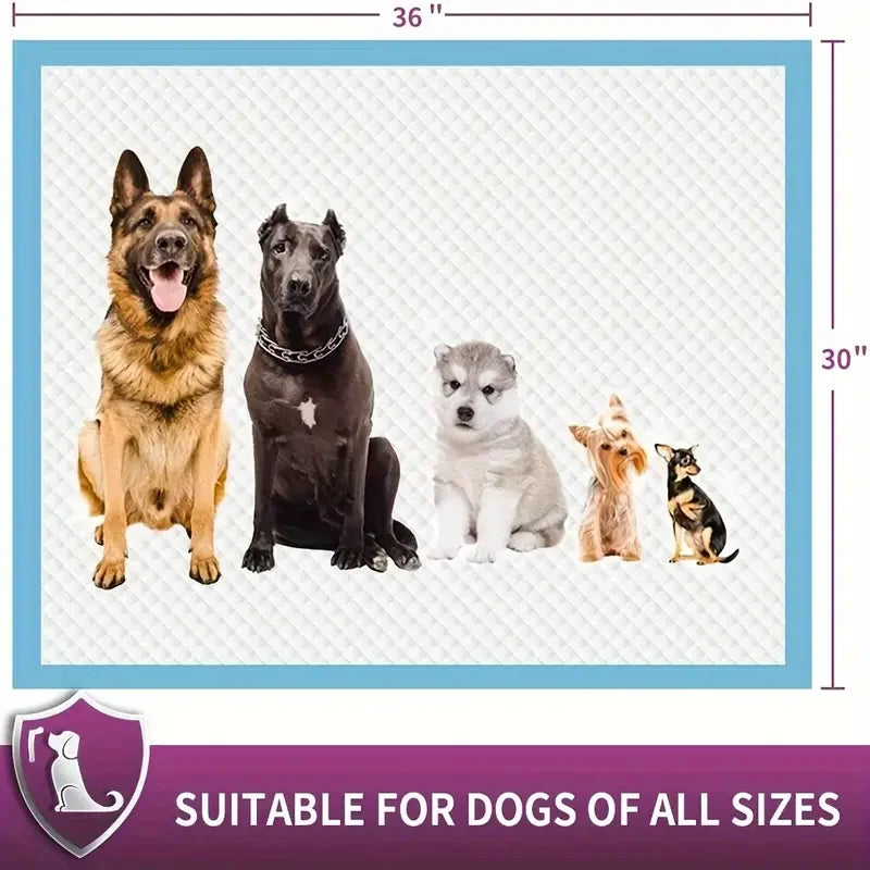 Dog Litter XXL Training Pads For Large Dogs Ultra Absorbent
