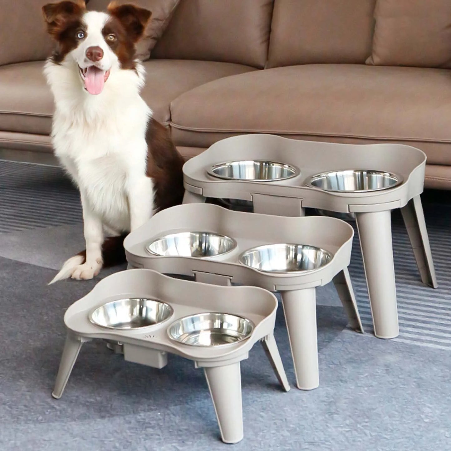 Stainless Steel Elevated Dog Bowl Non Slip No Spill Design
