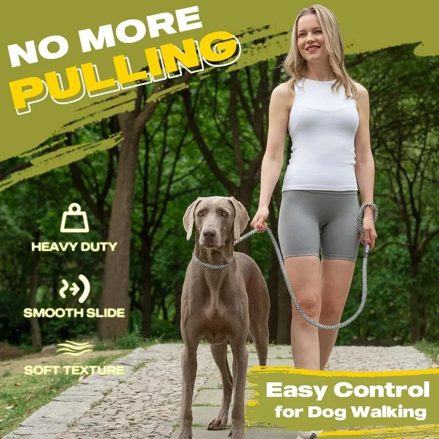 Slip Lead 6Ft Heavy Duty Leash No Pull Reflective Small Dog