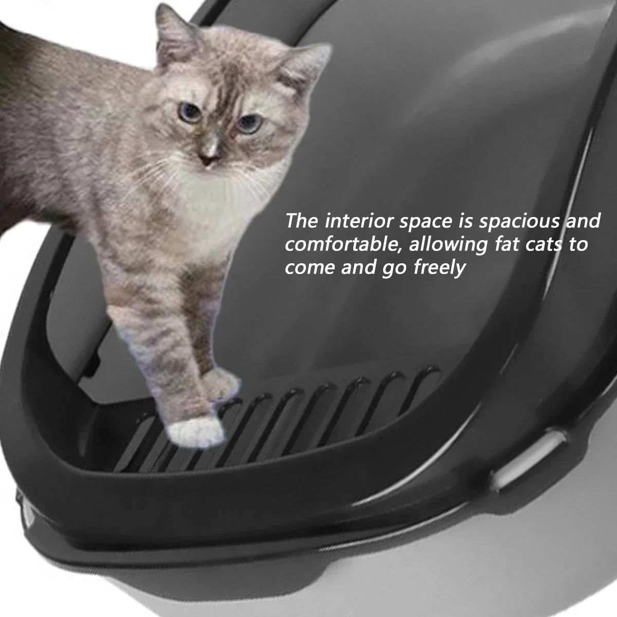 Choice Cat Litter Box High Sides Splashproof For Cats