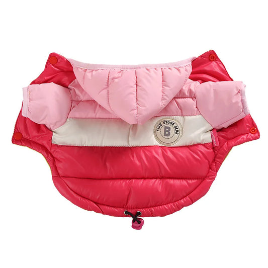 CN Zhejiang Winter Waterproof Dog Coat For Small Dogs