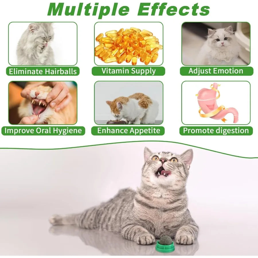 Hign Concerned Catnip Toys for Cats Six Pack Kitten Chew