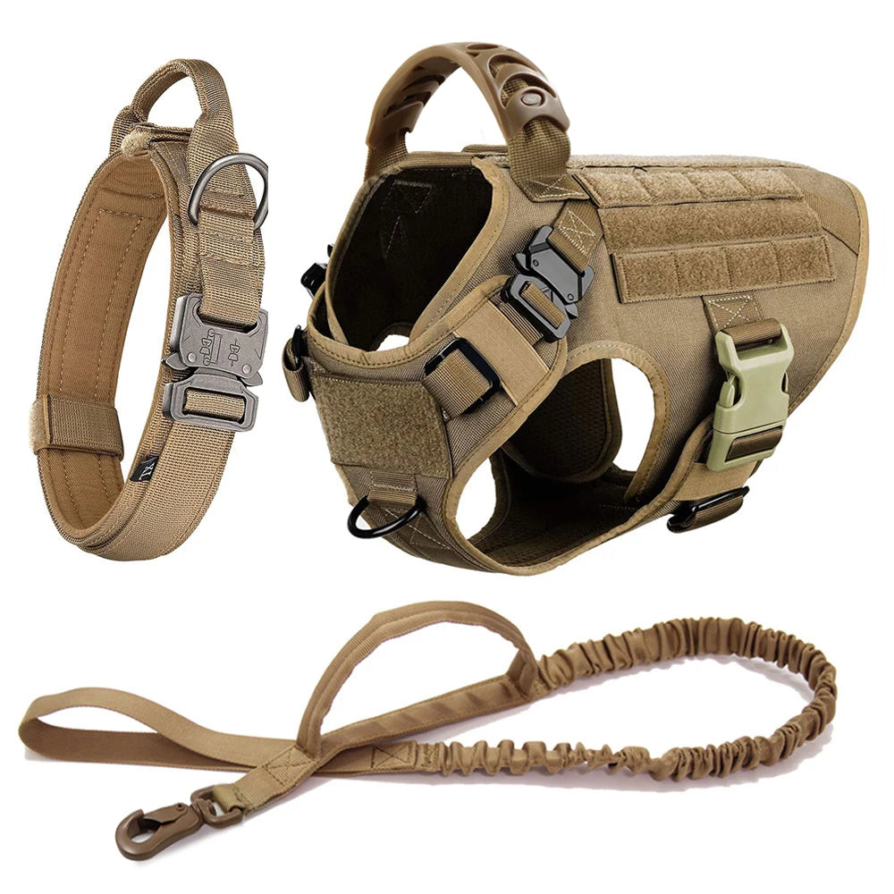 Petravelcn Large Dog Harness and Leash Set for Training