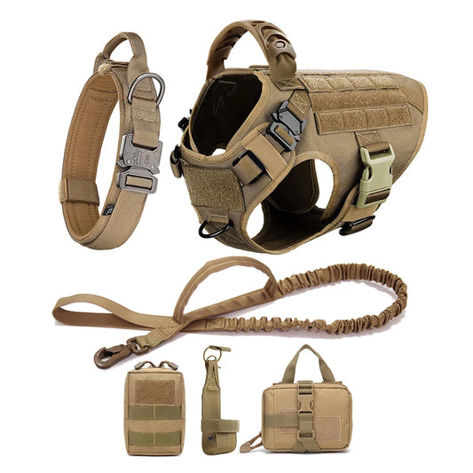 Petravelcn Large Dog Harness and Leash Set for Training