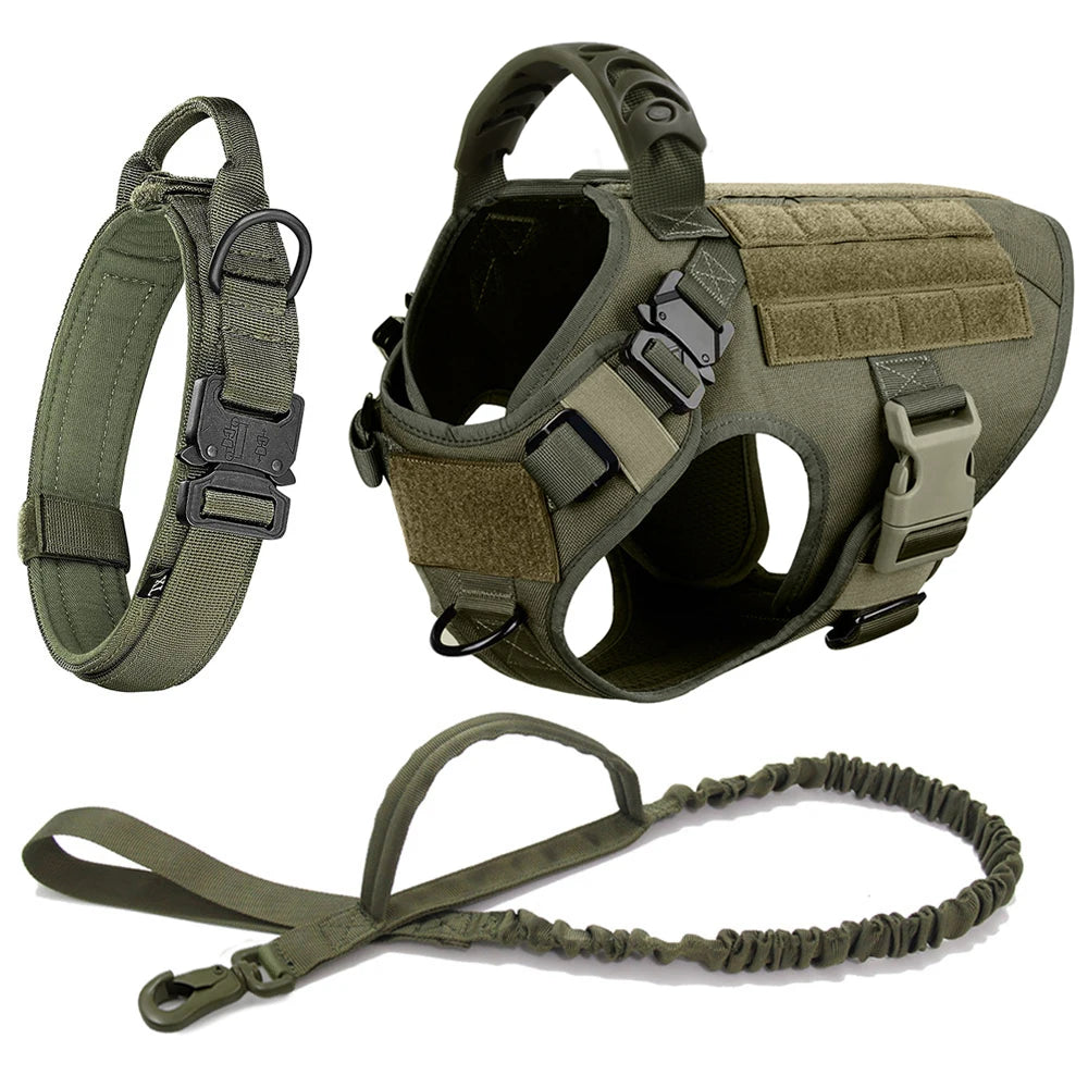 Petravelcn Large Dog Harness and Leash Set for Training