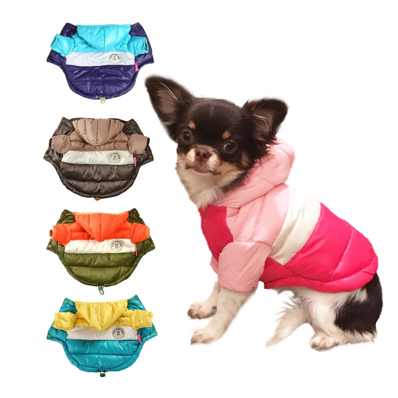 CN Zhejiang Winter Waterproof Dog Coat For Small Dogs