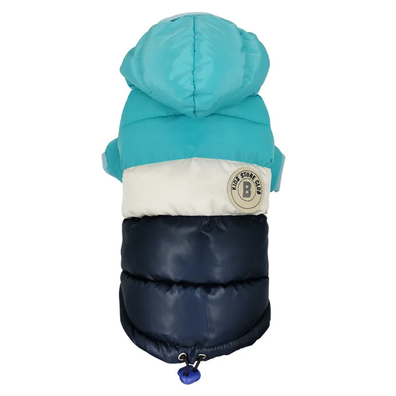 CN Zhejiang Winter Waterproof Dog Coat For Small Dogs