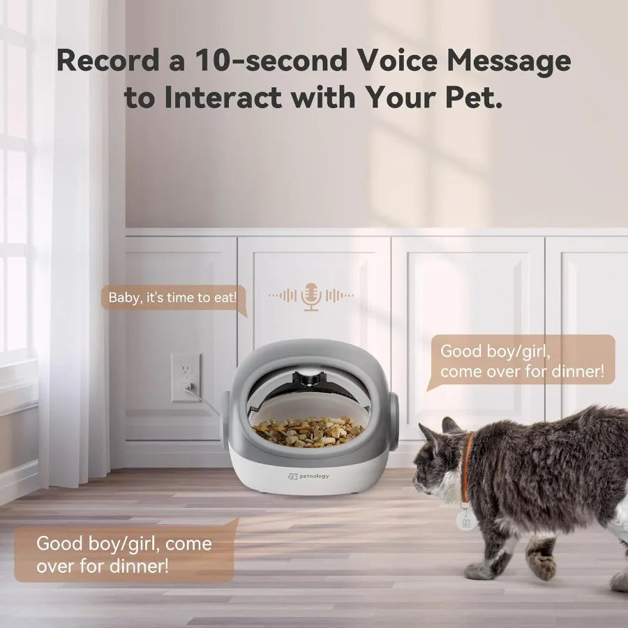 RFID Cat Feeder with Collar Sensor Timed Auto Pet Feeder for Multi-Cat Households 4 Feeding Modes Suitable for Both Wet and Dry