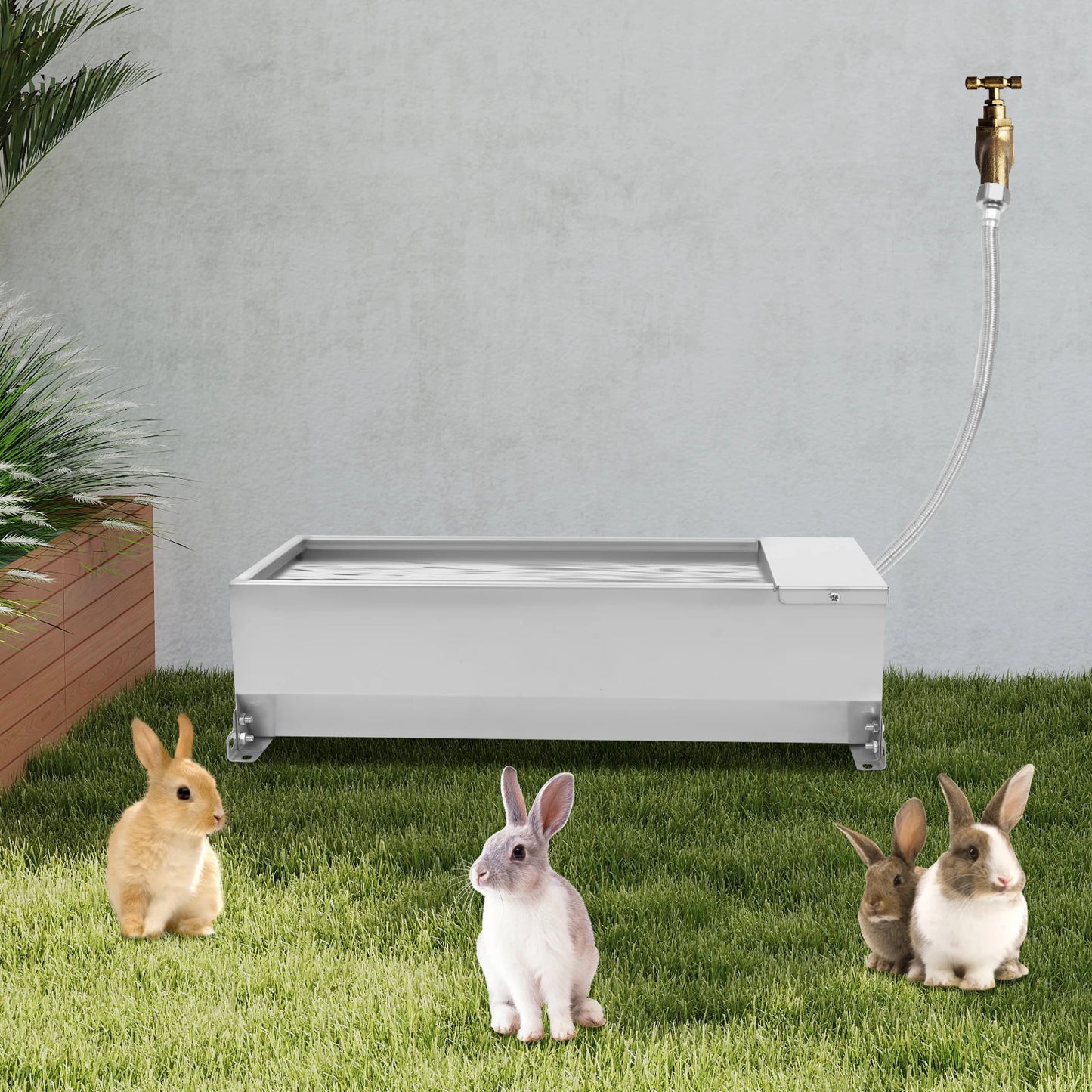 Automatic Self Filling Dog Waterer Tank With Float Valve