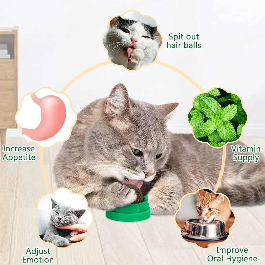 Hign-concerned Catnip Ball 3 Pack For Cats Safe Chew Toys