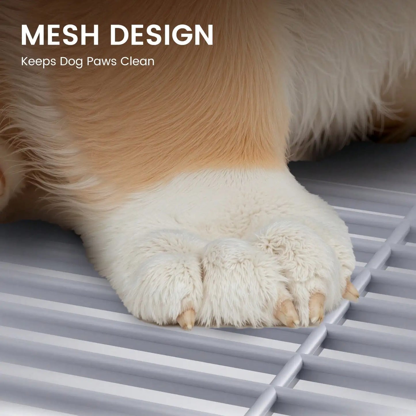 Indoor Dog Potty Tray by Dog Litter No Leak Protection Wall