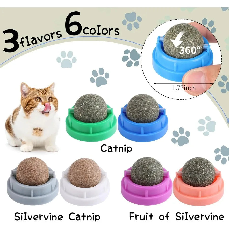 Hign Concerned Catnip Toys for Cats Six Pack Kitten Chew