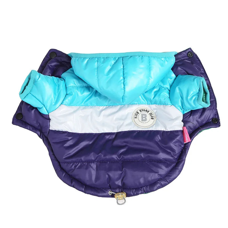 CN Zhejiang Winter Waterproof Dog Coat For Small Dogs