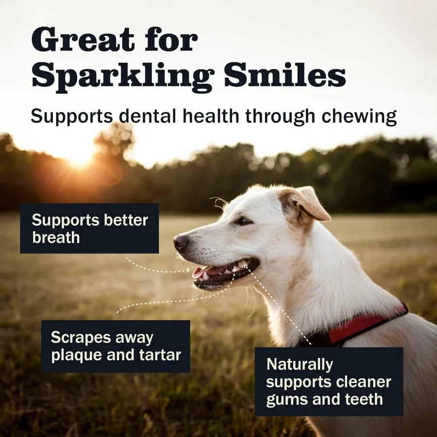 All Natural 58 Bully Sticks For Dogs Variety Pack Odor