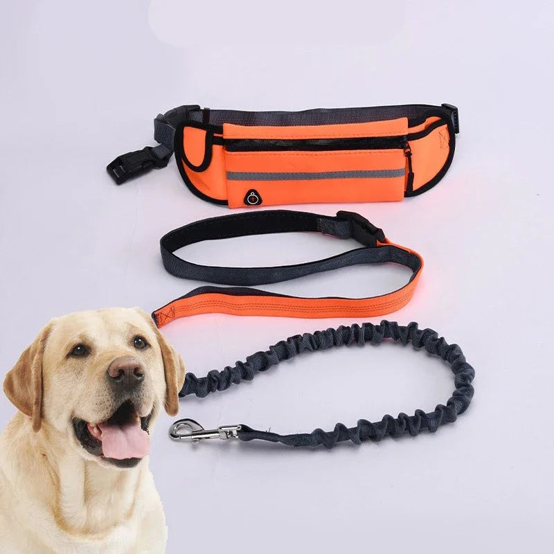 Hands Free Reflective Dog Leash With Retractable Belt Bag