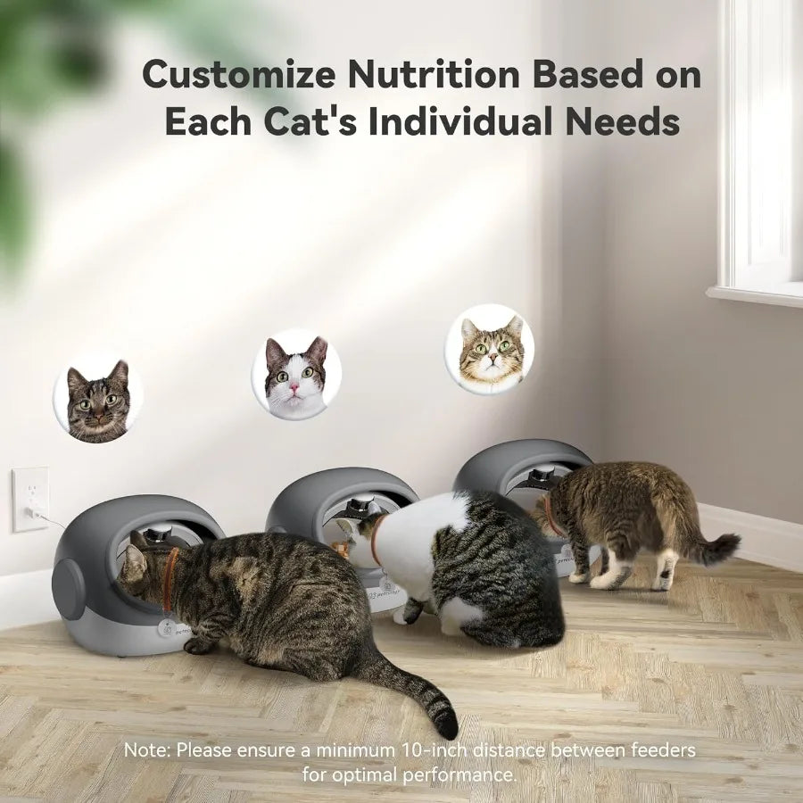 RFID Cat Feeder with Collar Sensor Timed Auto Pet Feeder for Multi-Cat Households 4 Feeding Modes Suitable for Both Wet and Dry