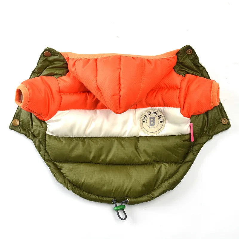 CN Zhejiang Winter Waterproof Dog Coat For Small Dogs