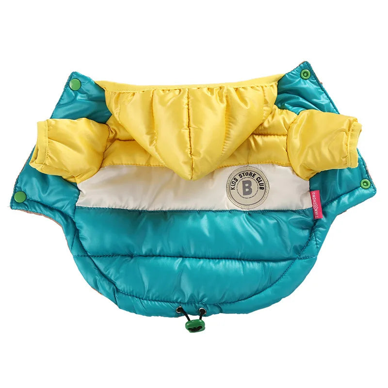 CN Zhejiang Winter Waterproof Dog Coat For Small Dogs