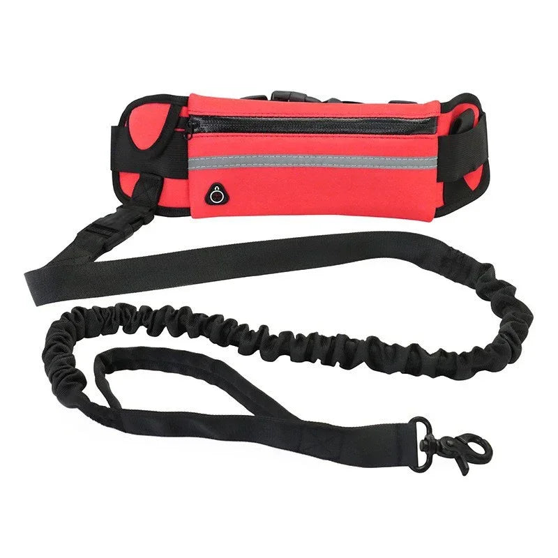 Hands Free Reflective Dog Leash With Retractable Belt Bag
