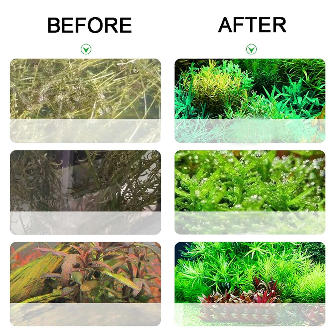 Stainless Steel Aquarium CO2 Generator Kit for Plant Growth