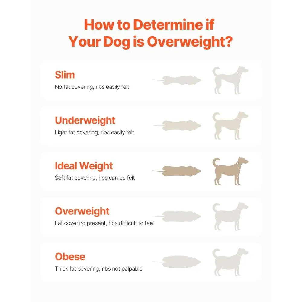 Hign Concerned Electric Dog Treadmill Medium Dogs 200 lbs