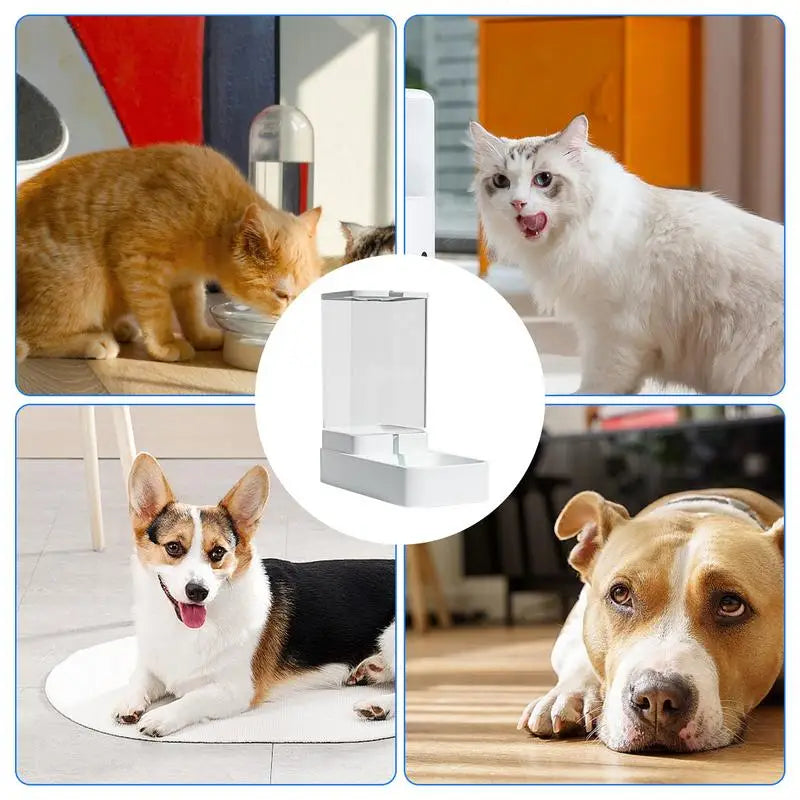 Automatic Gravity Cat Feeder Dispenser 3.8L Water And Food