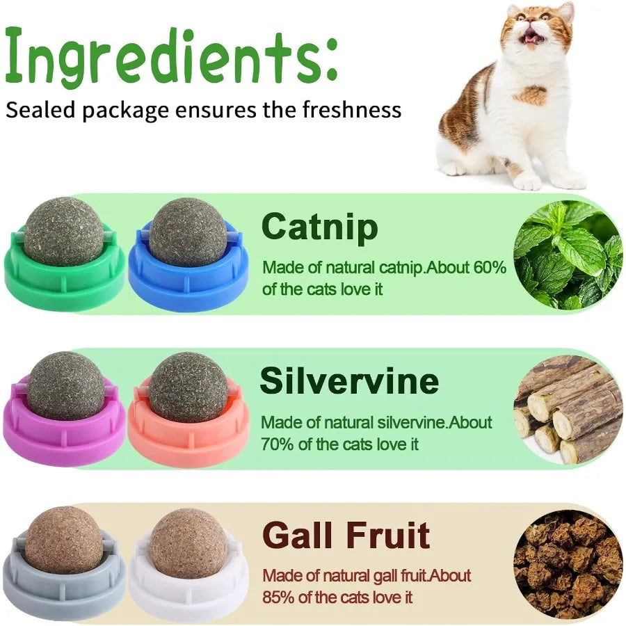 Hign Concerned Catnip Toys for Cats Six Pack Kitten Chew