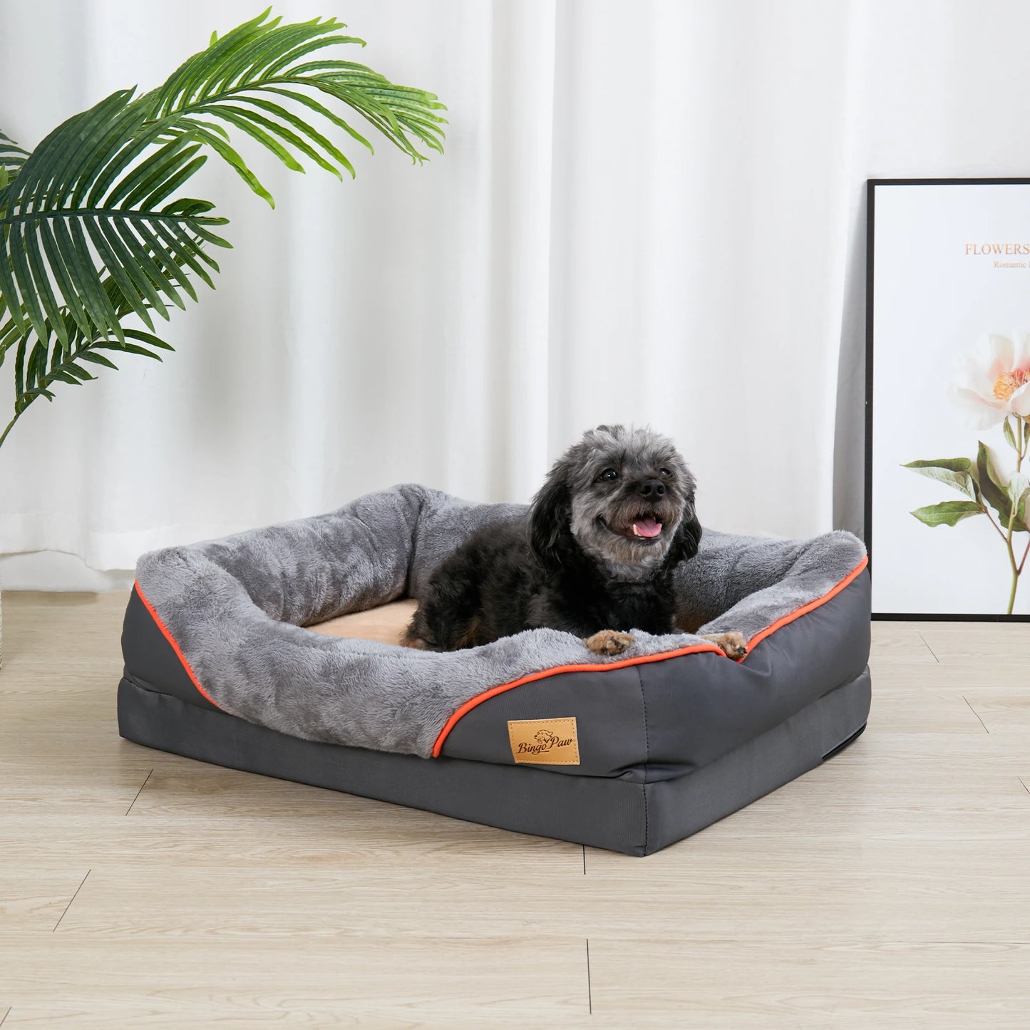 Orthopedic Foam Dog Bed Removable Cover L XL 2XL 3XL Senior