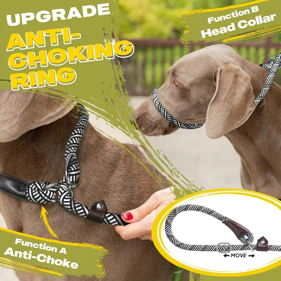 Slip Lead 6Ft Heavy Duty Leash No Pull Reflective Small Dog