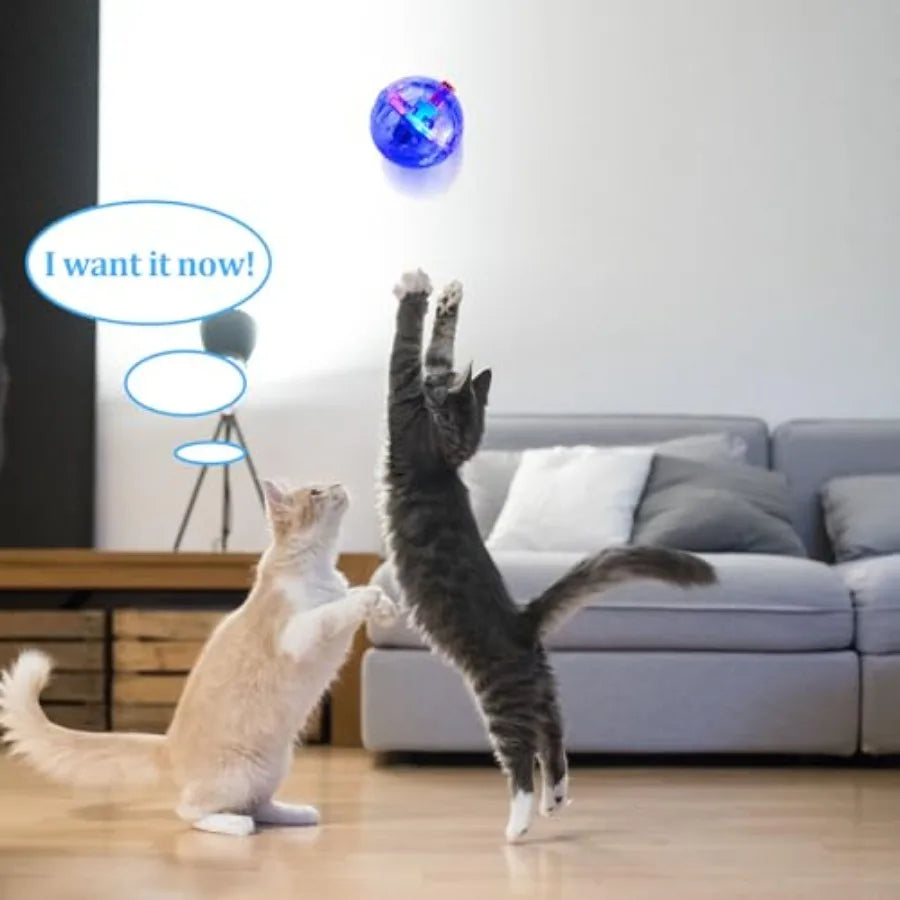 Hign Concerned Cat Ball Motion Activated Light Up Toy Glow