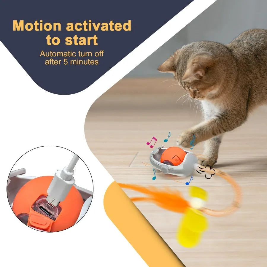 Hign-Concerned Kitten Friendly Interactive Cat Toys Mice
