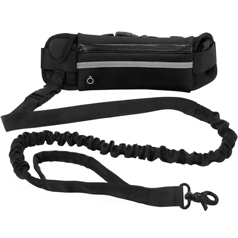 Hands Free Reflective Dog Leash With Retractable Belt Bag
