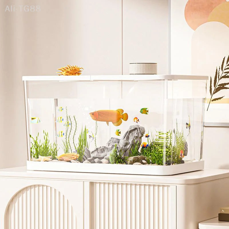 Durable Mini Fish Tank With Transparent Lid For Turtles