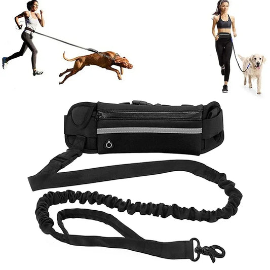 Hands Free Reflective Dog Leash With Retractable Belt Bag