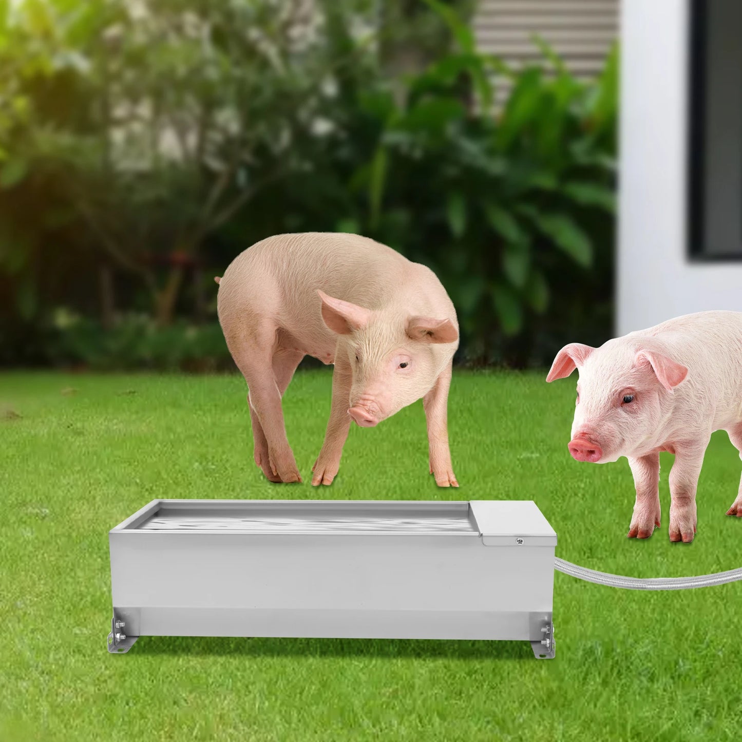 Automatic Self Filling Dog Waterer Tank With Float Valve