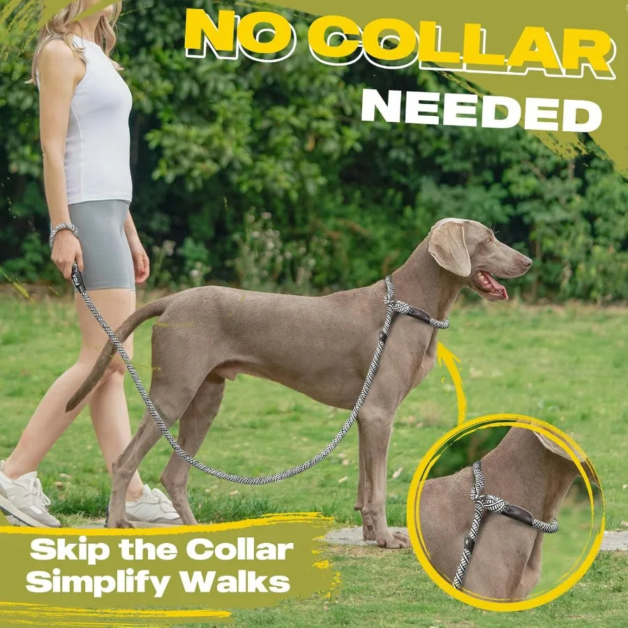Slip Lead 6Ft Heavy Duty Leash No Pull Reflective Small Dog