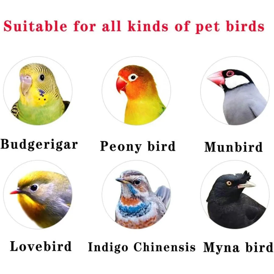 Bird Cage for Parakeets and Canaries Elegant Retro Golden Design Affordable Luxury Home Decor for Doves and Parrots Ideal for I